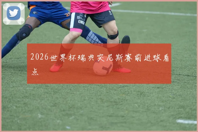 2026世界杯瑞典突尼斯赛前进球看点