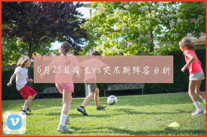 6月25日荷兰vs突尼斯阵容分析