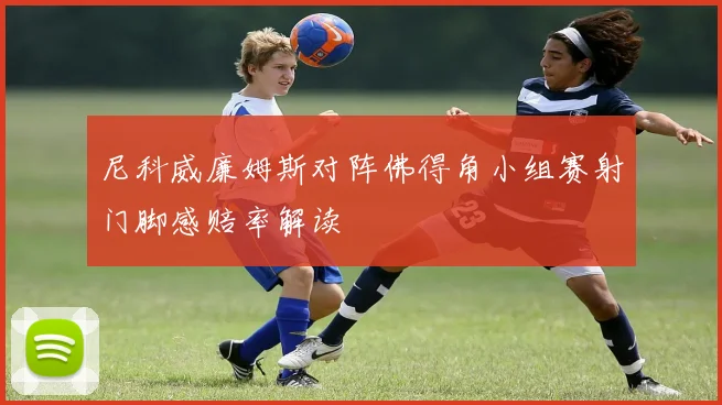 尼科威廉姆斯对阵佛得角小组赛射门脚感赔率解读