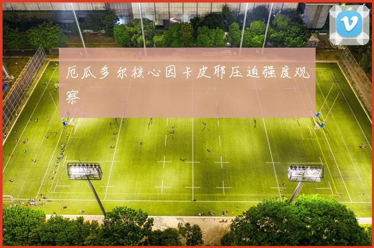 厄瓜多尔核心因卡皮耶压迫强度观察