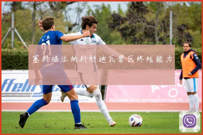 塞科福法纳科特迪瓦禁区终结能力