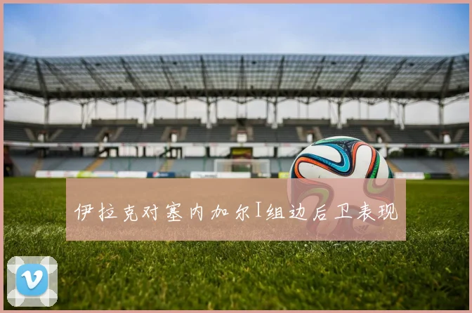 伊拉克对塞内加尔I组边后卫表现