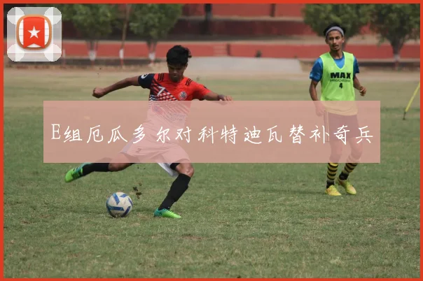 E组厄瓜多尔对科特迪瓦替补奇兵